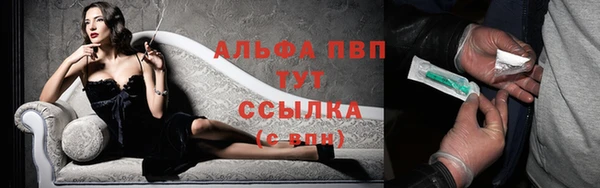 ECSTASY Белокуриха