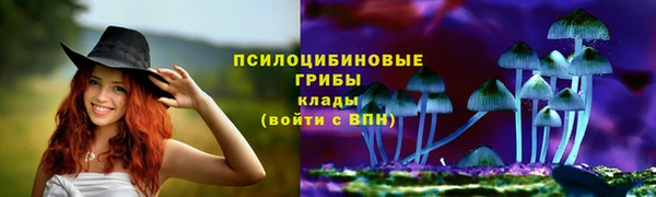 ECSTASY Белокуриха