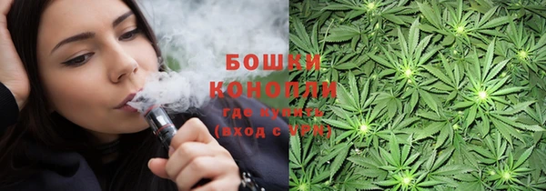 ECSTASY Белокуриха