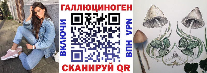 где купить наркотик  ОМГ ОМГ   Псилоцибиновые грибы MAGIC MUSHROOMS  Гудермес 