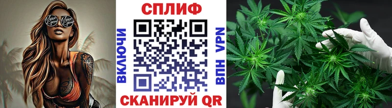 магазин продажи наркотиков hydra ТОР МАРИХУАНА план Гудермес